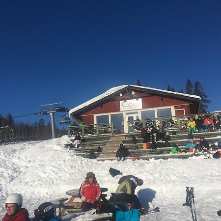 1125 Fjaellstugan Lofsdalen Buitenkant foto