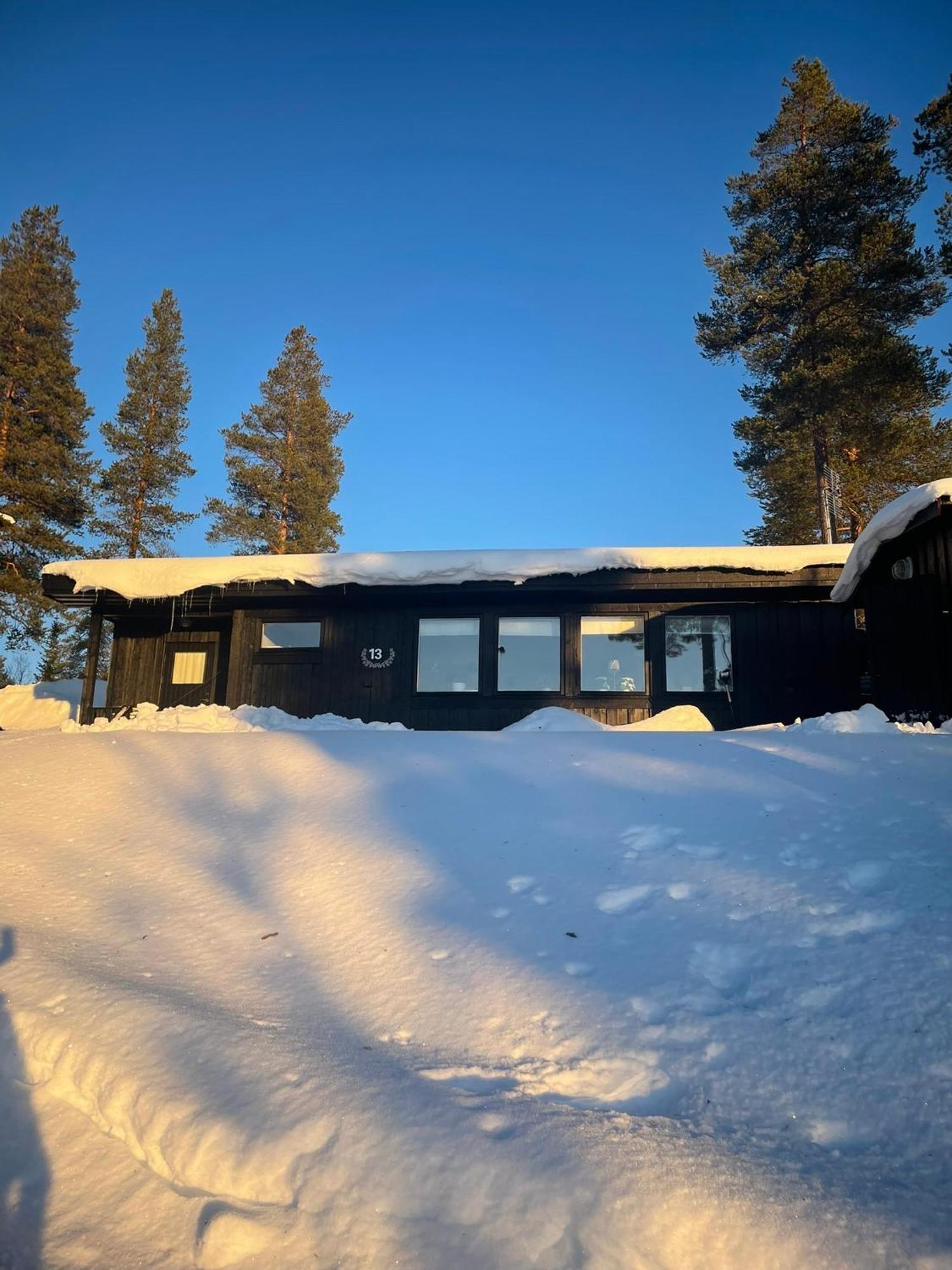 1125 Fjaellstugan Lofsdalen Buitenkant foto
